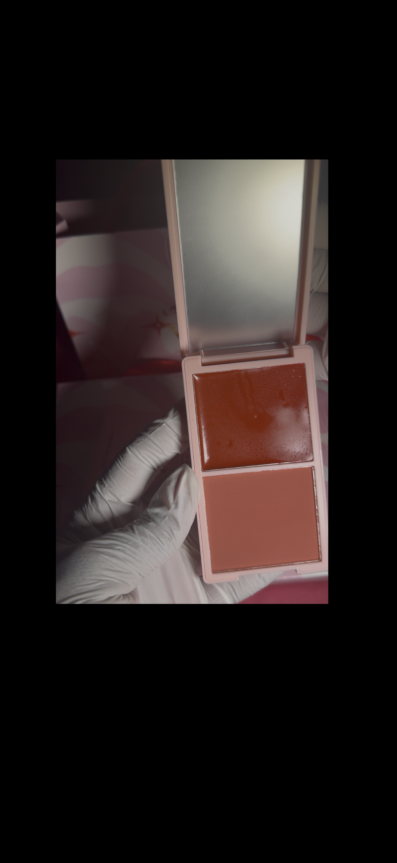 #3 . Deep Plum Cheek Blush